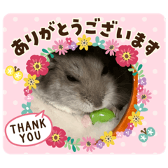 [LINEスタンプ] ぼくあ〜るでしゅ(●´ω`●)