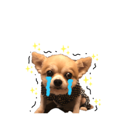 [LINEスタンプ] シェリーくん