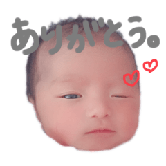[LINEスタンプ] みおみおです！！！！！！