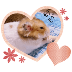 [LINEスタンプ] きなこ の スタンプ