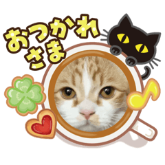 [LINEスタンプ] ふて猫ちくわ