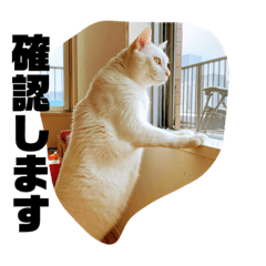 [LINEスタンプ] シロ財団