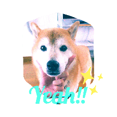 [LINEスタンプ] みきおで日常