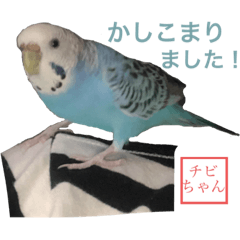 [LINEスタンプ] ヤジマのトリ