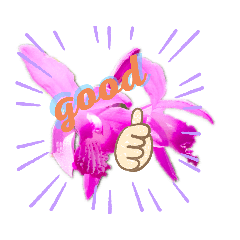 [LINEスタンプ] お花でリラックス