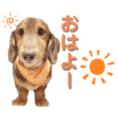 [LINEスタンプ] ダックスフンドのぼくちゃん