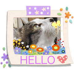 [LINEスタンプ] Tototto