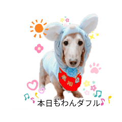 [LINEスタンプ] ミニチュアダックスhappyLife！！