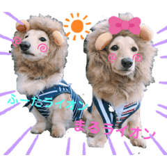 [LINEスタンプ] ふーまるスタンプ