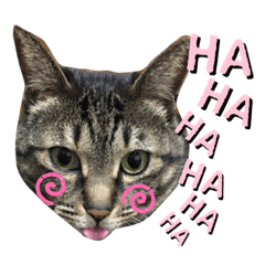 [LINEスタンプ] RINRIN③