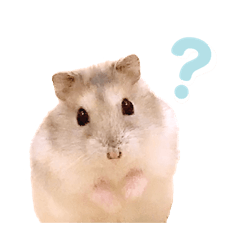 [LINEスタンプ] ぽこまる(ハムスター)