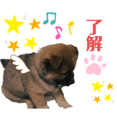 [LINEスタンプ] 茶太郎ほんわかスタンプ