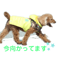 [LINEスタンプ] pola  1