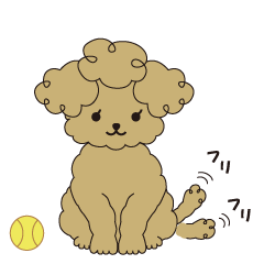 [LINEスタンプ] かわいいプードルの一日