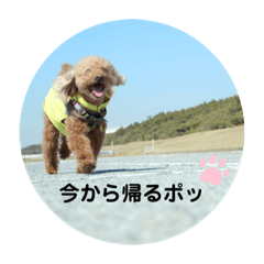[LINEスタンプ] pola 4