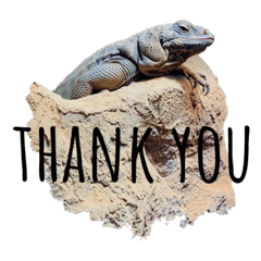 [LINEスタンプ] my little reptiles