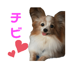 [LINEスタンプ] マイレジェンドペットのチビのスタンプ