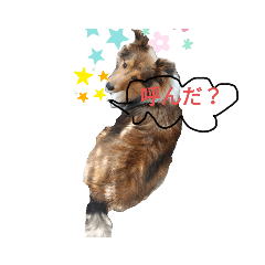 [LINEスタンプ] アシュのゆるかわスタンプ