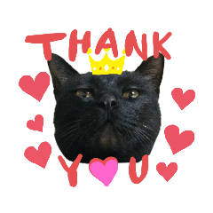 [LINEスタンプ] 黒猫のむうた