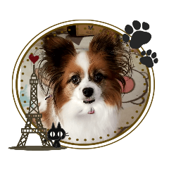 [LINEスタンプ] 犬のロッキー3