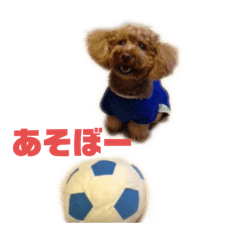 [LINEスタンプ] pola5
