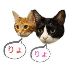 [LINEスタンプ] ふうきん②