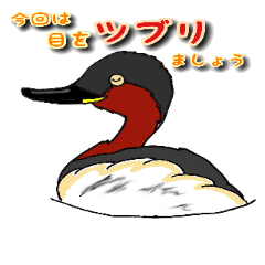 [LINEスタンプ] 身近なにほんの野鳥～見たことあるカモ？～