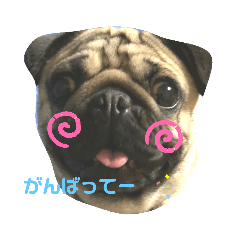 [LINEスタンプ] はなちゃんなの