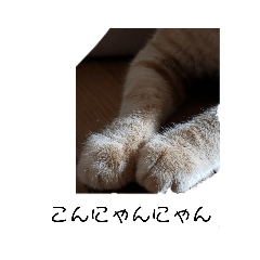 [LINEスタンプ] つくねこ1