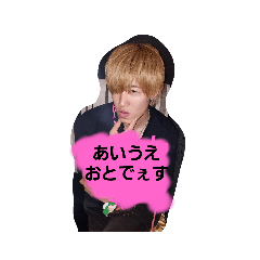 [LINEスタンプ] あいうえ～おとでぇす