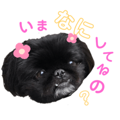 [LINEスタンプ] まりたん航くんあいさつ編