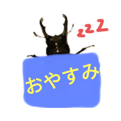 [LINEスタンプ] クワガタの一週間
