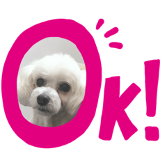 [LINEスタンプ] はなちゃんスタンプ5