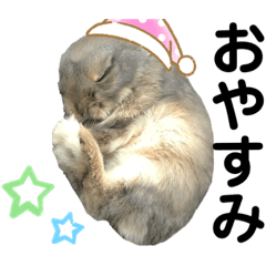 [LINEスタンプ] つみれスタンプ④