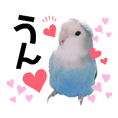 [LINEスタンプ] コザクラインコの空ちゃん with lovers 2