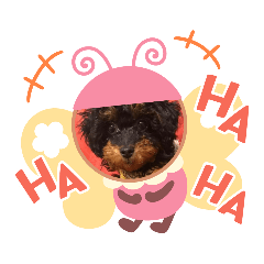 [LINEスタンプ] あずfam