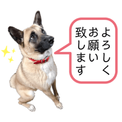 [LINEスタンプ] のん♀_002