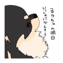 [LINEスタンプ] 実は猫派