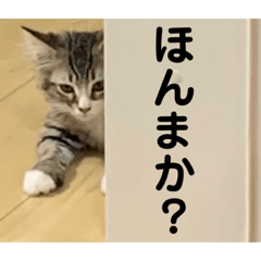[LINEスタンプ] アルスタンプその1