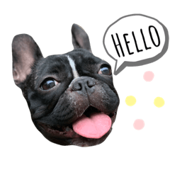 [LINEスタンプ] フレブル こなつ2