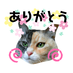 [LINEスタンプ] ジョバとグとポン