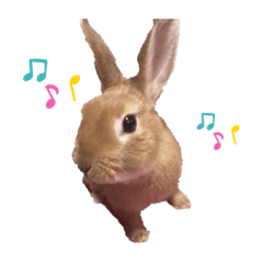 [LINEスタンプ] うさぎのモカちゃんスタンプpart2