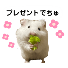 [LINEスタンプ] ごまくんすたんぷ