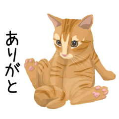 [LINEスタンプ] 森山家のとんこつ