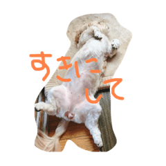 [LINEスタンプ] うりき2