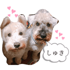 [LINEスタンプ] ちっちゃいもの倶楽部〜J＆LwithGoo〜