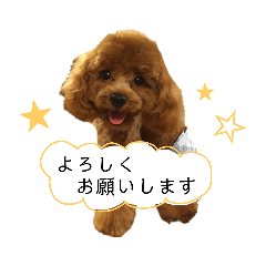 [LINEスタンプ] ルルのすたんぷ☆