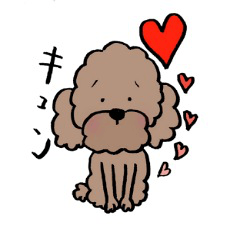 [LINEスタンプ] 保護犬応援！トイプードルと遊ぼう