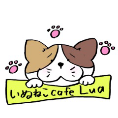 [LINEスタンプ] 保護活動応援！三毛猫と黒猫