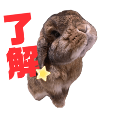 [LINEスタンプ] 愛うさらぎ らぶちゃんスタンプvol.2
